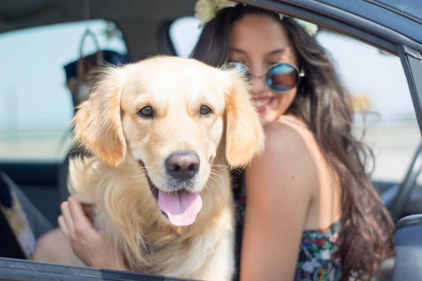 istock Best friend travelling 809071562