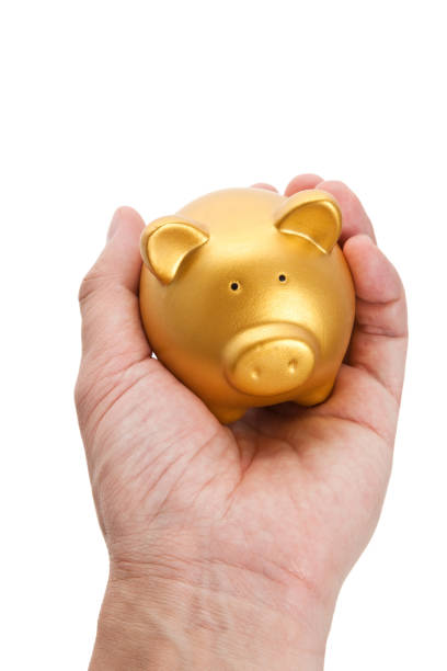 istock Golden Piggy Bank 809072626
