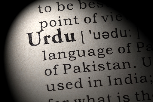 Fake Dictionary, Dictionary definition of the word Urdu. including key descriptive words.