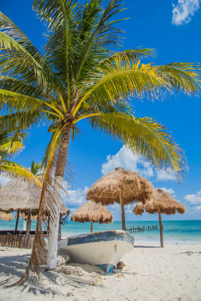 barco na praia debaixo de uma palmeira. bela praia. barco na praia. tulum, méxico, caribe - mayan riviera - fotografias e filmes do acervo