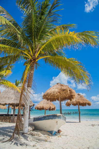 лодка на пляже под пальмой. красивый пляж. лодка на пляже. тулум, мексика, карибский море - mayan riviera стоковые фото и изображения