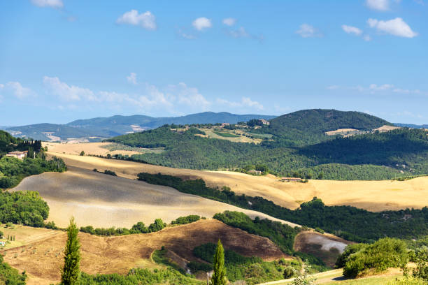 istock landscape in the summer 809114338