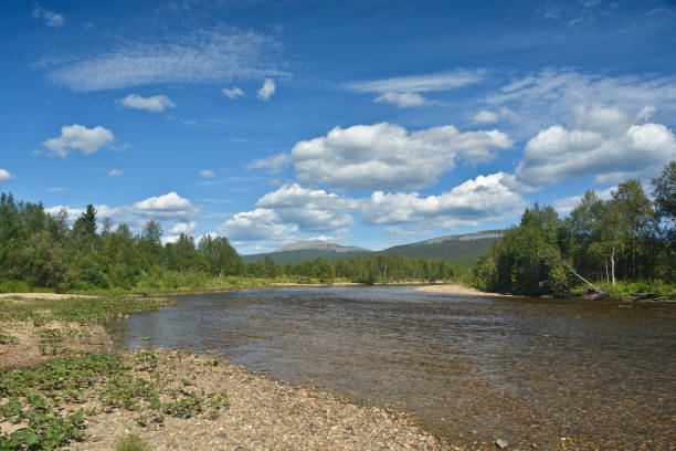 istock Virgin Komi forests. 809137838