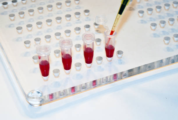 istock In medical laboratories studied blood. 809137906