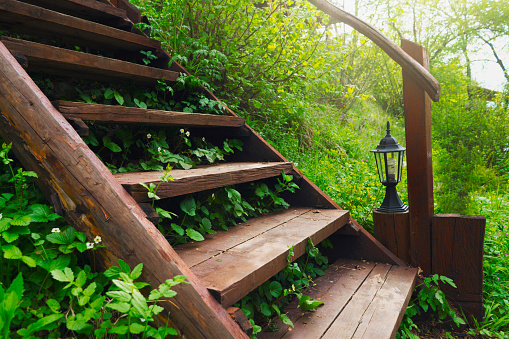 Wooden staircase ingrown with grass.