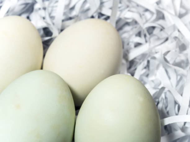 istock Eggs on the straw paper in recycle plastic bag 809228144