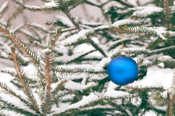 istock Chrismas ball on the christmas tree branch. 809286014