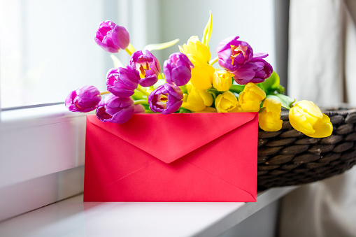 bunch of beautiful purple and yellow tulips in the basket and red envelope on the wonderful white windowsill