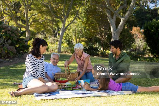 Happy Family Having Picnic In The Park Stock Photo - Download Image Now - Family, Picnic, Natural Parkland