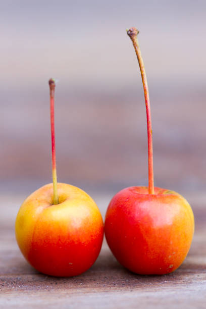 istock Still Life Organic Crab Apple Fruit 809390188