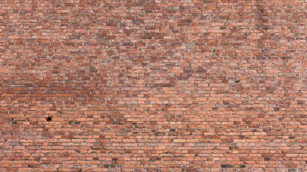 vecchio sfondo della trama del muro di mattoni - brick wall old brick wall foto e immagini stock