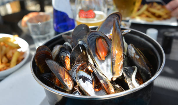istock Mussel in Casserole in a restaurante 809436952