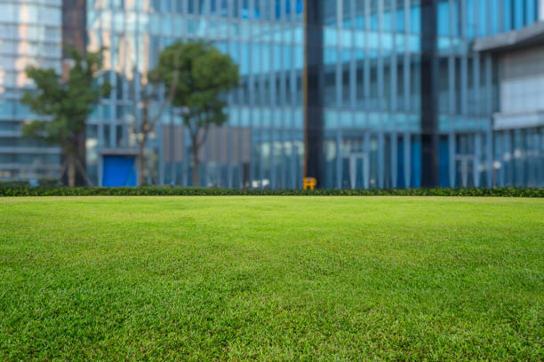 istock Green city,shanghai 809486970