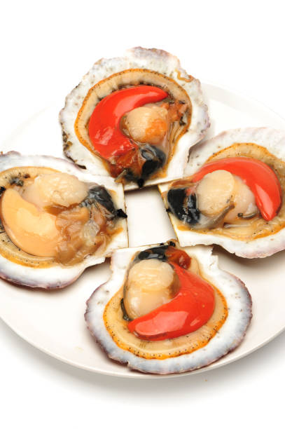 istock Scallops and opened scallop isolated on white background 809496820
