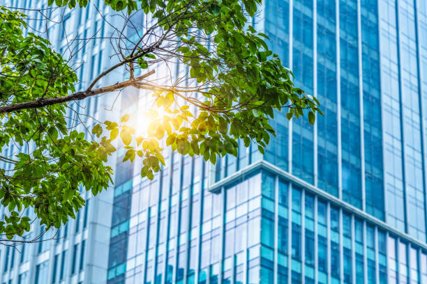 istock Details of a modern office building with leaves 809504598