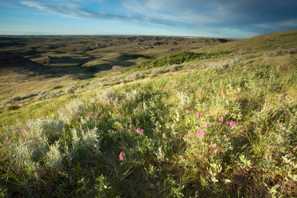 Grasslands National Park Saskatchewan Canada