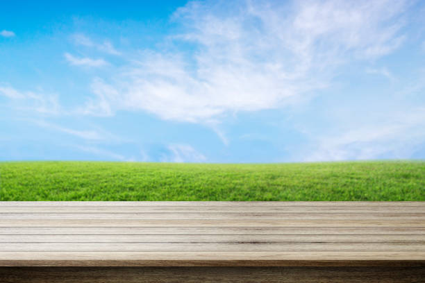 istock Empty wooden table with nature background - can be used for display your products. 809668356