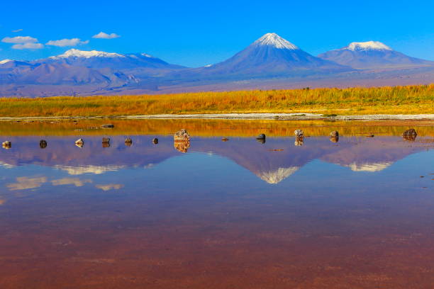 istock Laguna Cejar – dramatic Cejar lake mirrored reflection and rock formation, Licancabur and Miniques snowcapped volcanoes and Idyllic Atacama Desert, Volcanic landscape panorama – San Pedro de Atacama, Chile, Bolívia and Argentina border 809699232