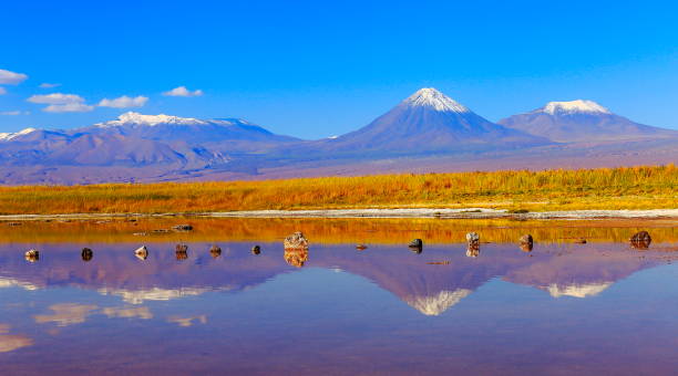 Laguna Cejar – dramatic Cejar lake mirrored reflection rock formation, Licancabur and Miniques snowcapped volcanoes and Idyllic Atacama Desert, Volcanic landscape panorama – San Pedro de Atacama, Chile, Bolívia and Argentina border laguna cejar-dramático cejar lago espejado reflexión formación rocosa, licancabur y miniques volcanes nevados y desierto de atacama idílico, panorama del paisaje volcánico – san pedro de atacama, en la frontera de chile, bolivia y argentina