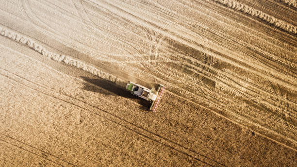 istock Harvester working in field and mows wheat. Ukraine. Aerial view. 809749374