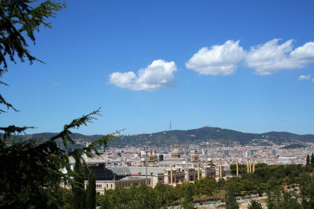 istock view of Barcelona from Montjuic hill 809790370