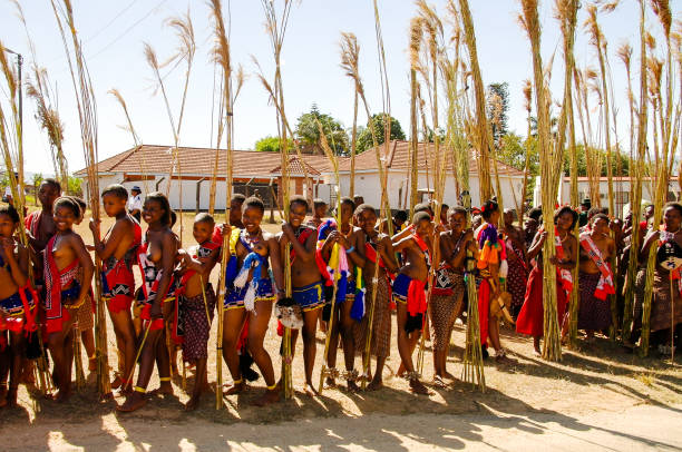 frauen in traditionellen kostümen marschieren in umhlanga aka reed dance 09.01.2013 lobamba, swasiland - aboriginal art aborigine rock stock-fotos und bilder