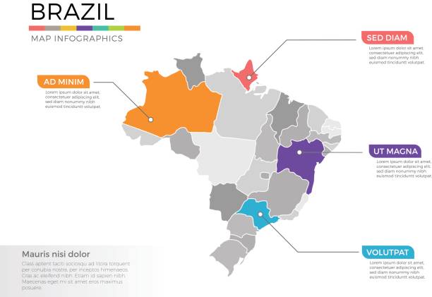 ilustraciones, imágenes clip art, dibujos animados e iconos de stock de plantilla de vector de infografía brasil mapa con regiones y marcas de puntero - brazil