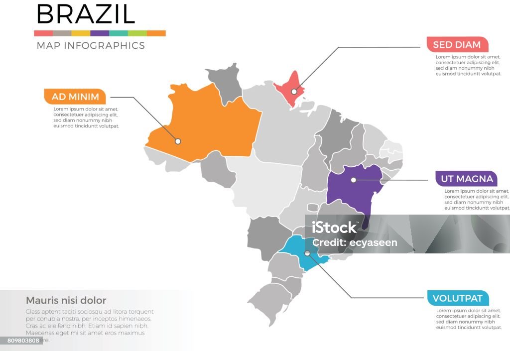 Brazil map infographics vector template with regions and pointer marks Brazil stock vector