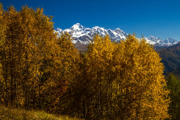 istock Humped peak of Mount Ushba, Georgia. 809831568