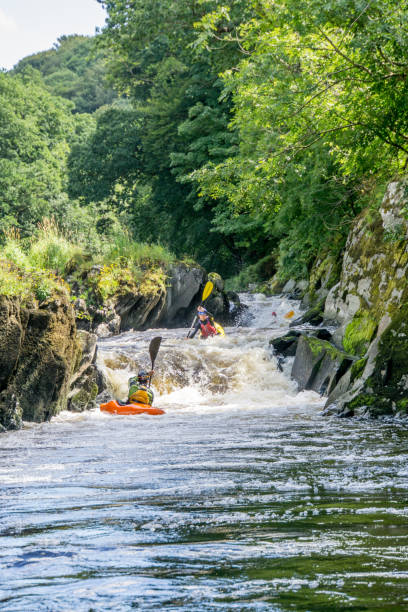 Canoeists riding the rapids Cenarth, UK - July 31, 2016: Two male and one female canoeist riding the rapids on the River Teifi at Cenarth teifi river stock pictures, royalty-free photos & images