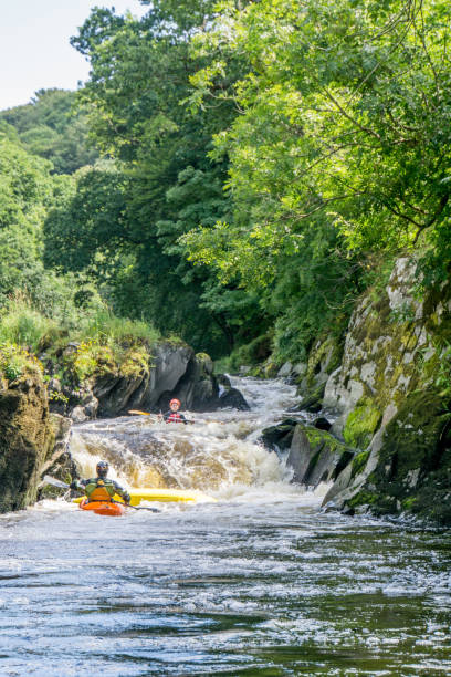 Canoeists riding the rapids Cenarth, UK - July 31, 2016: Two male and one female canoeist riding the rapids on the River Teifi at Cenarth teifi river stock pictures, royalty-free photos & images