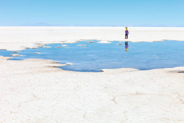 istock Landscape the Uyuni salt flat, Bolivia 809842490