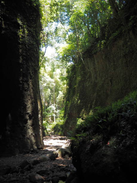 istock gorge near Iokido Cave 809846240