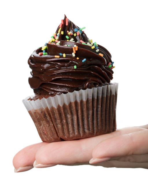 Beautiful feminine hand holding tasty appetizing chocolate cupcake. White Isolated Background. Closeup.
