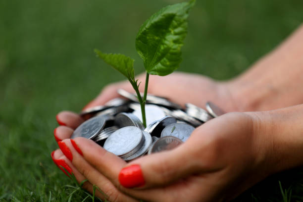 istock Female hand holding coins and small plant 809861200
