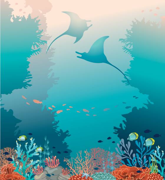 ilustraciones, imágenes clip art, dibujos animados e iconos de stock de dos rayas, arrecifes de coral y el mar. vector de submarino. - beauty in nature coral angelfish fish