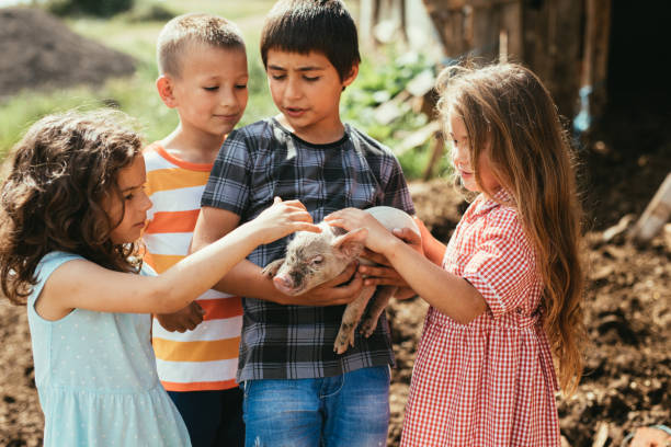 istock Children petting a piglet 809864460