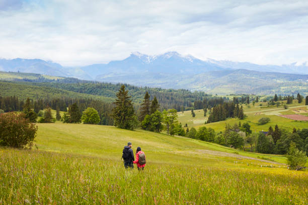 Springtime in mountains