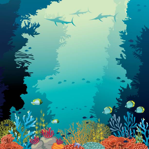 ilustraciones, imágenes clip art, dibujos animados e iconos de stock de arrecife de coral submarino, marlines y mar. - beauty in nature coral angelfish fish