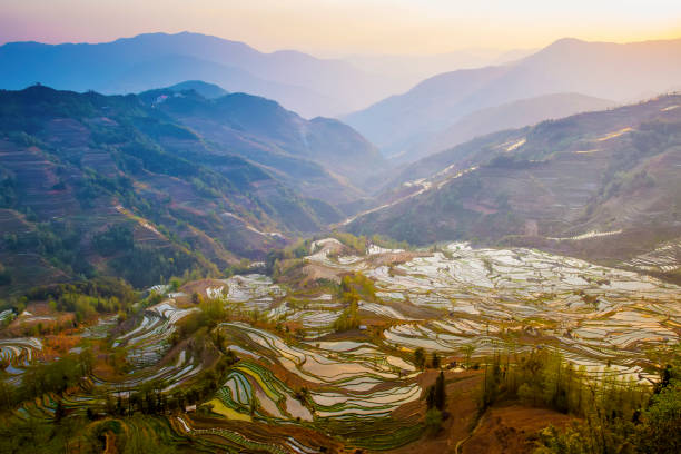 istock Yuanyang terrace, Yunnan, China 809872362