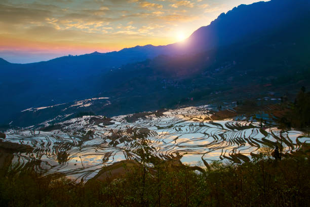 yuanyang terrace, yunnan, china - hani imagens e fotografias de stock