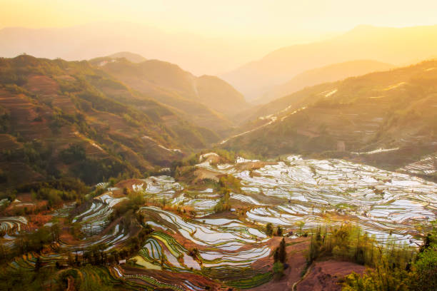 yuanyang terrace, yunnan, china - hani imagens e fotografias de stock