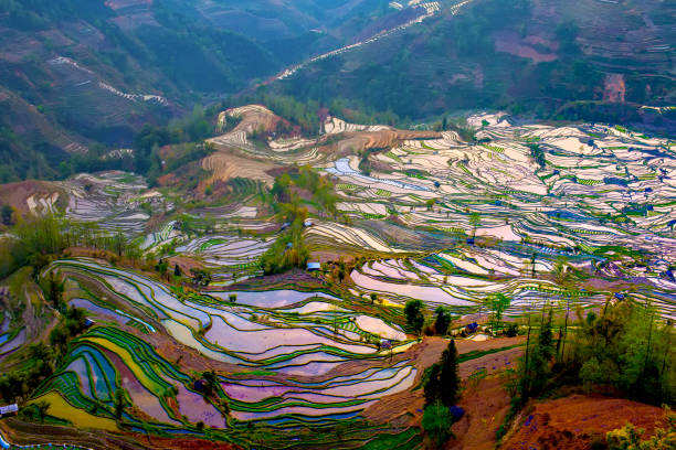 Yuanyang terrace, Yunnan, China