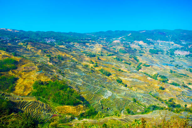 Yuanyang terrace, Yunnan, China