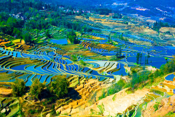 yuanyang terrace, yunnan, china - hani imagens e fotografias de stock