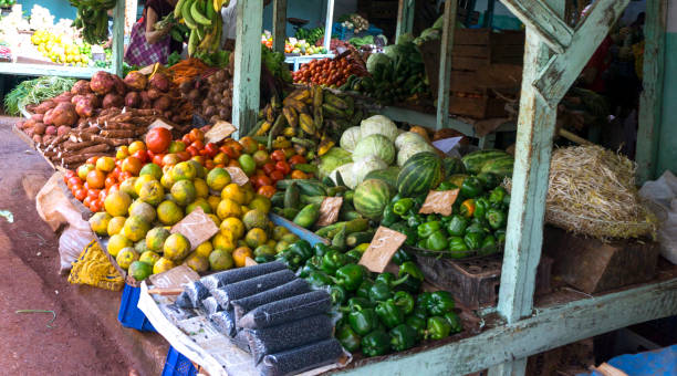 Local market and fruit shop in Cuba Local market and fruit shop in Havana, Cuba cuba market stock pictures, royalty-free photos & images