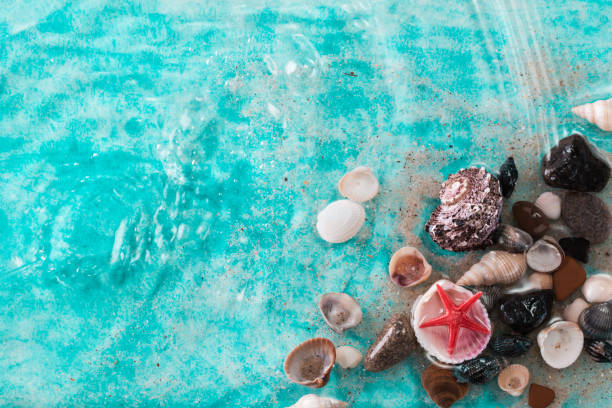istock Vacation concept with starfish ,seashells on blue water,summer holiday concept 809882170