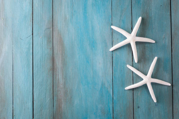 istock Summer background with starfish on blue background ,holiday card 809882244
