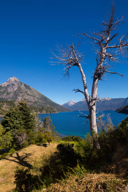 Lago Nahuel Huapi and Cerro Campanario