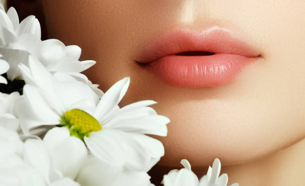 Lips with flower. Close-up beautiful female lips with bright lip Lips with flower. Close-up beautiful female lips with bright lipgloss makeup. Perfect clean skin, light fresh lip make-up. Beautiful spa portrait with tender flower. Spa and cosmetics big fat lips stock pictures, royalty-free photos & images